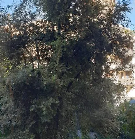 Cagliari, *